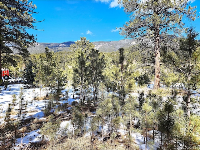 116 Neal St, Bailey, CO 80421