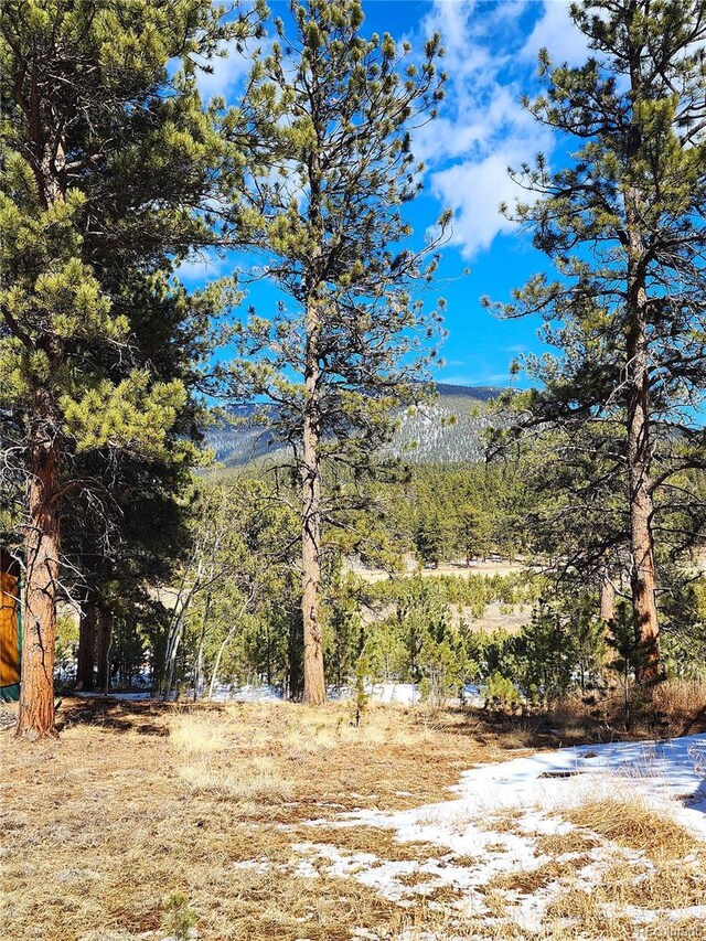 116 Neal St, Bailey, CO 80421