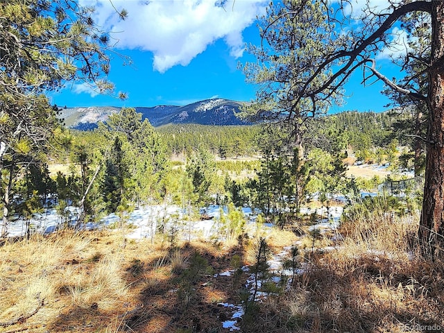 116 Neal St, Bailey, CO 80421