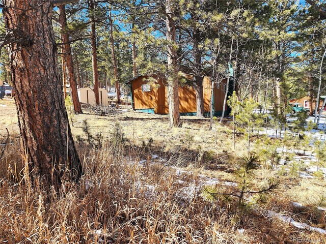 116 Neal St, Bailey, CO 80421