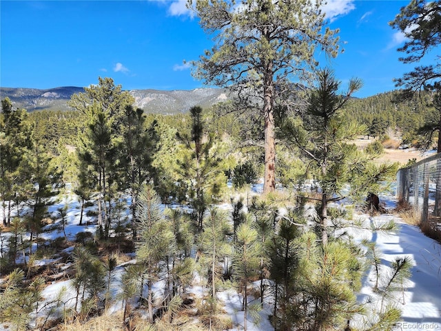 116 Neal St, Bailey, CO 80421