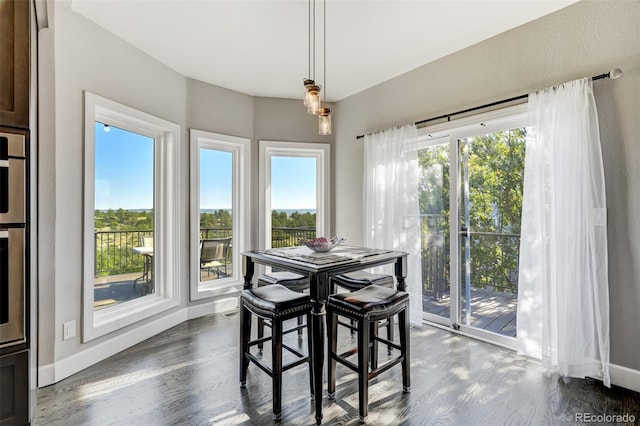 dining room featuring dark hardwood / wood-style flooring