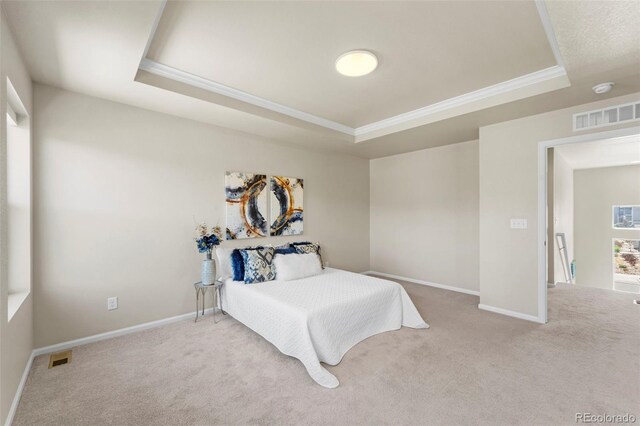 19131 E 65th Ave, Denver, CO 80249 - bedroom featuring a tray ceiling, ornamental molding, carpet, and baseboards
