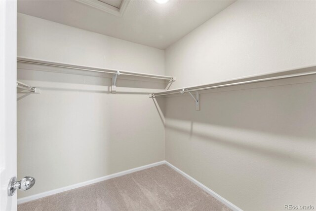 19131 E 65th Ave, Denver, CO 80249 - walk in closet with carpet flooring