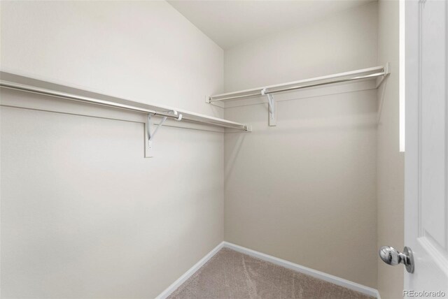 19131 E 65th Ave, Denver, CO 80249 - walk in closet featuring carpet flooring