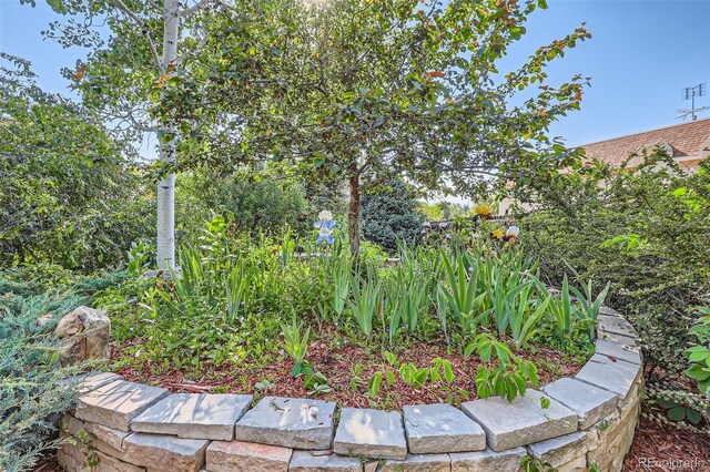 5480 S Holly St, Greenwood Village, CO 80111 - photo 46