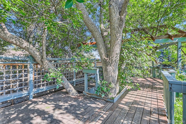 5480 S Holly St, Greenwood Village, CO 80111 - photo 48
