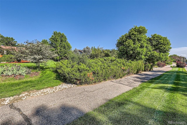 5480 S Holly St, Greenwood Village, CO 80111 - photo 50