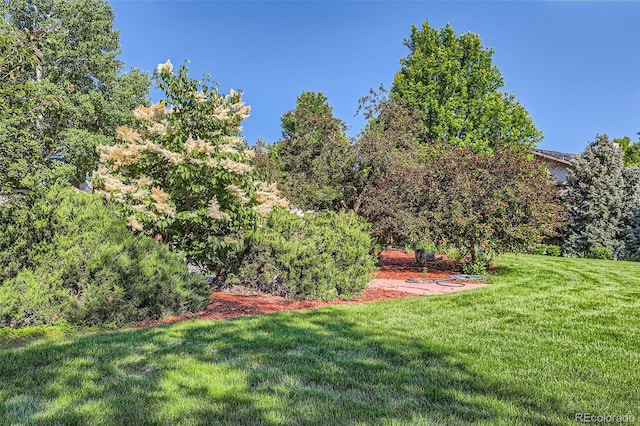 5480 S Holly St, Greenwood Village, CO 80111 - photo 4