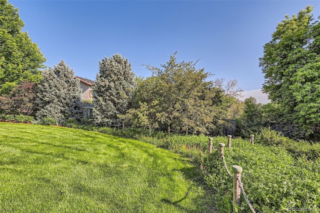 5480 S Holly St, Greenwood Village, CO 80111 - photo 5