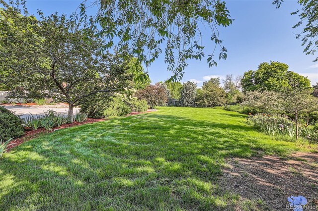 5480 S Holly St, Greenwood Village, CO 80111 - photo 6