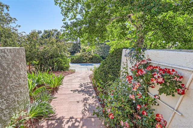 5480 S Holly St, Greenwood Village, CO 80111 - photo 8