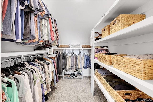 walk in closet with carpet