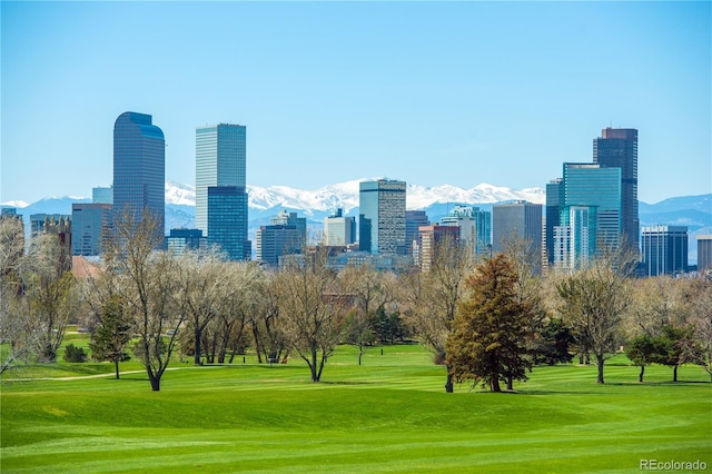 1643 Adams St, Denver, CO 80206 - photo 9
