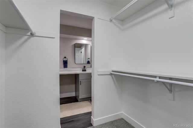 spacious closet featuring a sink and dark wood-type flooring