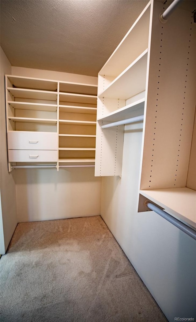 spacious closet featuring carpet