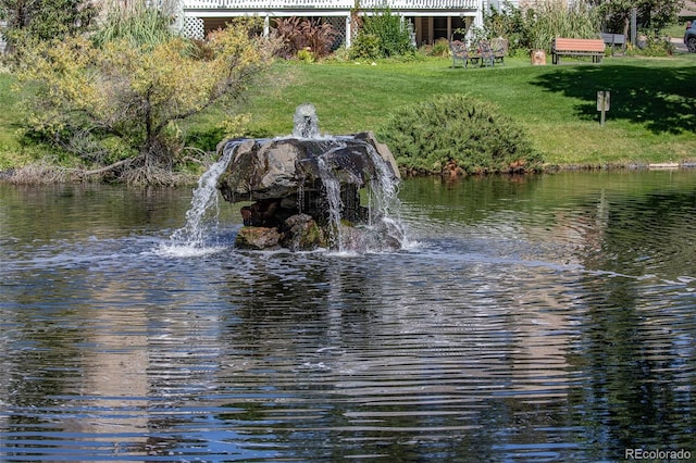 dock area with a yard and a water view