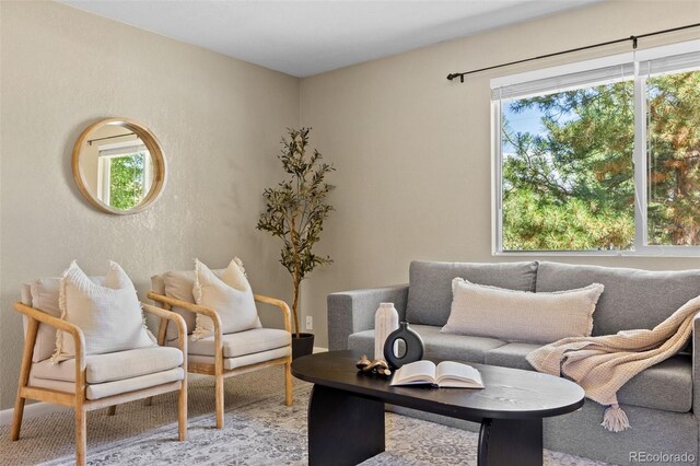 2380 W Baltic Pl, Englewood, CO 80110 - living area with a textured wall