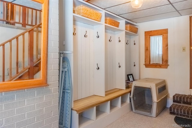 mudroom featuring carpet floors and a drop ceiling