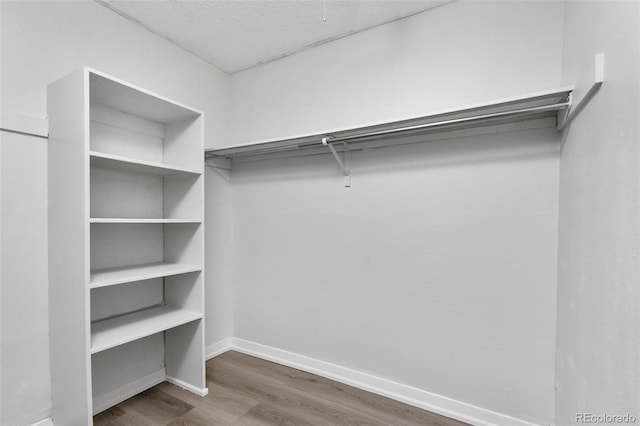 walk in closet with wood finished floors