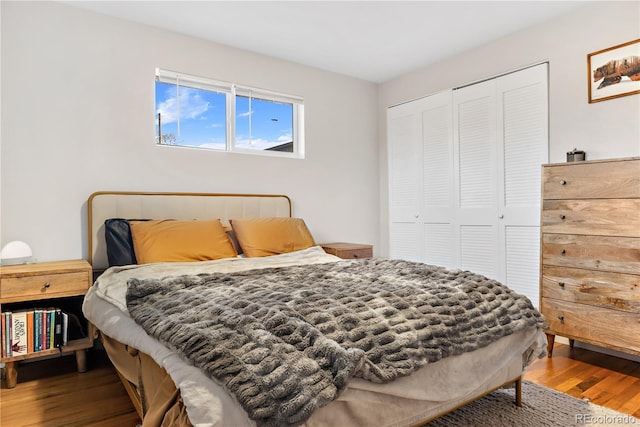 bedroom with wood-type flooring and a closet