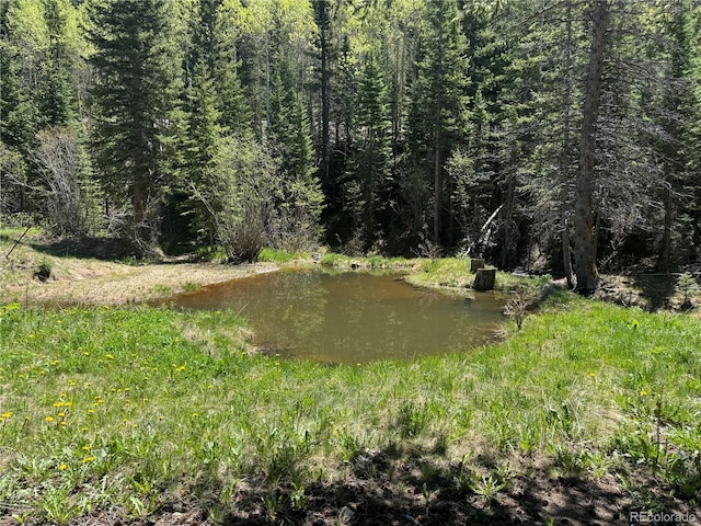 4568 Apex Valley Rd, Black Hawk, CO 80422 - photo 4