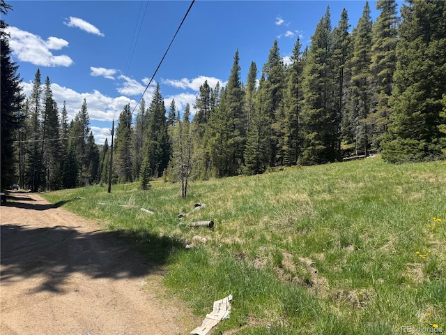 4568 Apex Valley Rd, Black Hawk, CO 80422 - photo 5