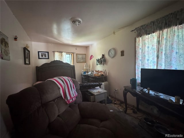 4568 Apex Valley Rd, Black Hawk, CO 80422 - photo 13