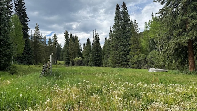 4568 Apex Valley Rd, Black Hawk, CO 80422 - photo 28