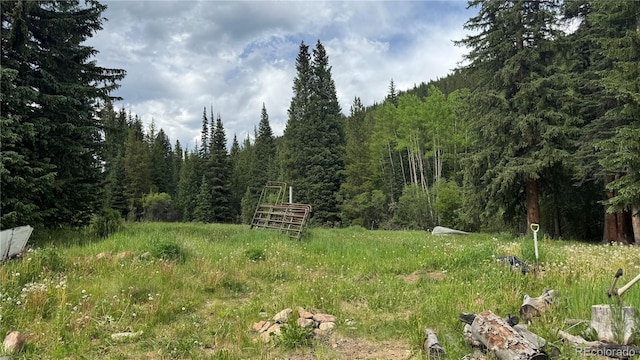 4568 Apex Valley Rd, Black Hawk, CO 80422 - photo 29