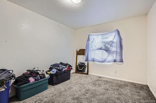 misc room with carpet and a textured ceiling