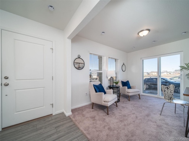 sitting room featuring carpet flooring, baseboards, and wood finished floors