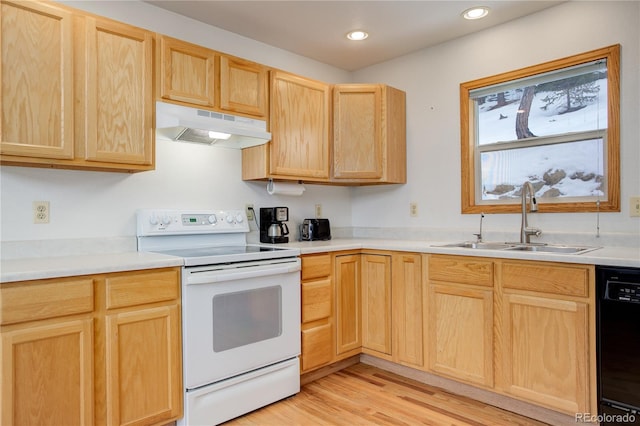 kitchen with dishwasher, light brown cabinetry, white electric stove, light wood-type flooring, and sink