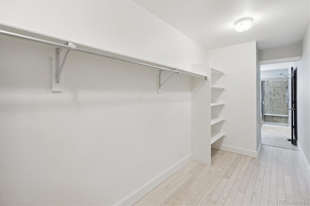 walk in closet featuring light hardwood / wood-style flooring