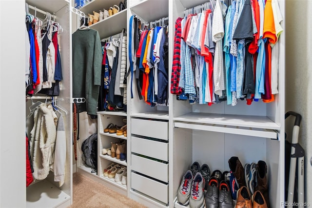 spacious closet with carpet
