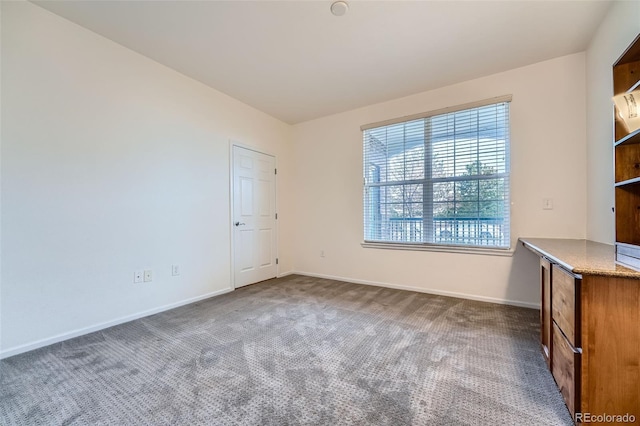 interior space featuring carpet floors