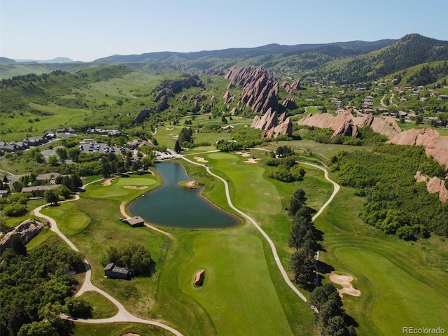 6268 Dakota Ridge Dr, Littleton, CO 80125 - photo 41