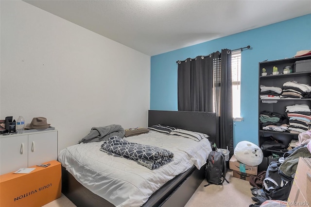 2246 S Ensenada St, Aurora, CO 80013 - view of carpeted bedroom