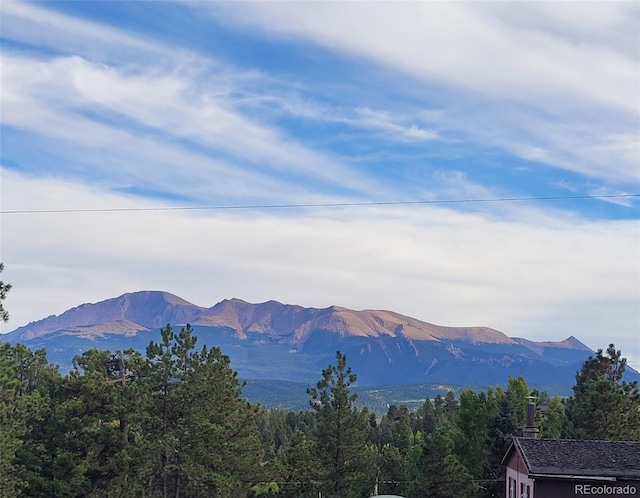 mountain view featuring a forest view
