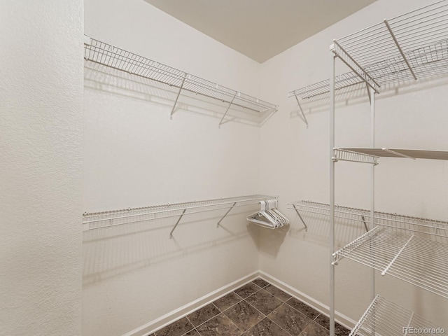 9896 W Freiburg Dr Unit 1D, Littleton, CO 80127 - view of walk in closet