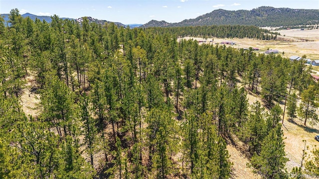 56 Dallas Park Cir, Florissant, CO 80816 - photo 2