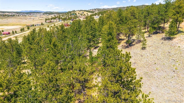 56 Dallas Park Cir, Florissant, CO 80816 - photo 5