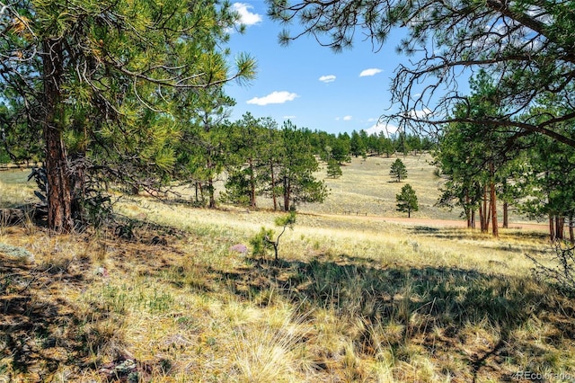 56 Dallas Park Cir, Florissant, CO 80816 - photo 7