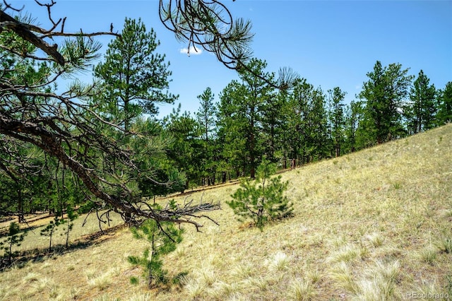 56 Dallas Park Cir, Florissant, CO 80816 - photo 9