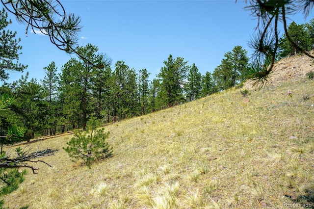 56 Dallas Park Cir, Florissant, CO 80816 - photo 10