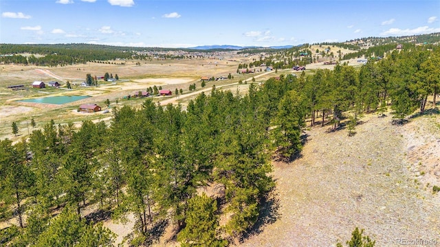 56 Dallas Park Cir, Florissant, CO 80816 - photo 14