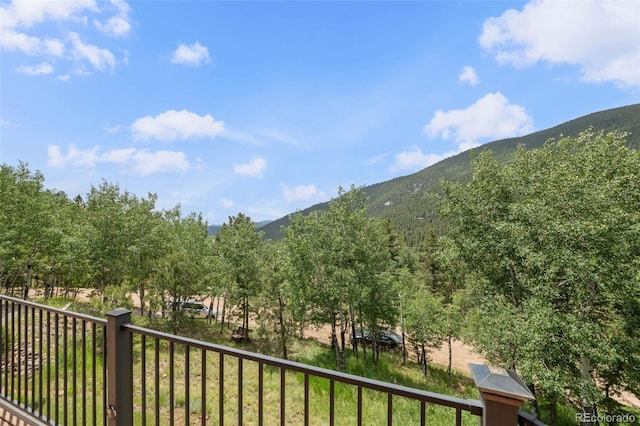 239 Aspen Pl, Evergreen, CO 80439 - photo 30