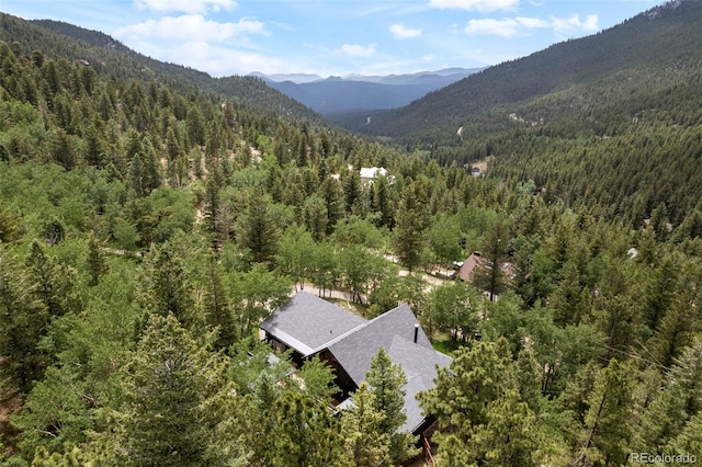 239 Aspen Pl, Evergreen, CO 80439 - photo 42
