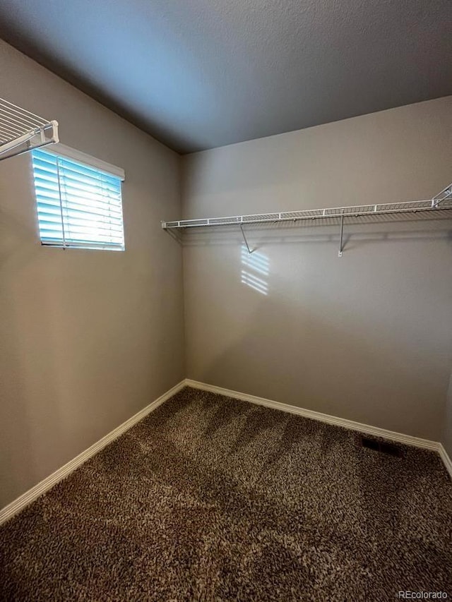 spacious closet with carpet