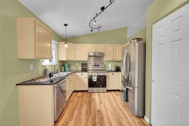 4000 Dove Ln, Evans, CO 80620 - photo 8